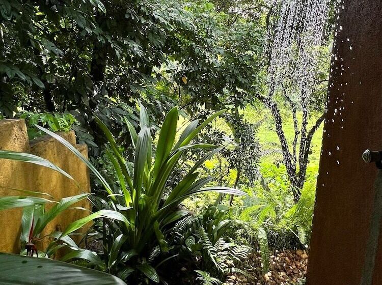 酒店 The Jungle Loft   Galle