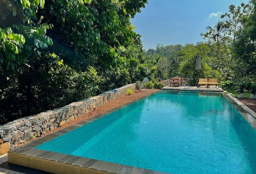 酒店 The Jungle Loft   Galle