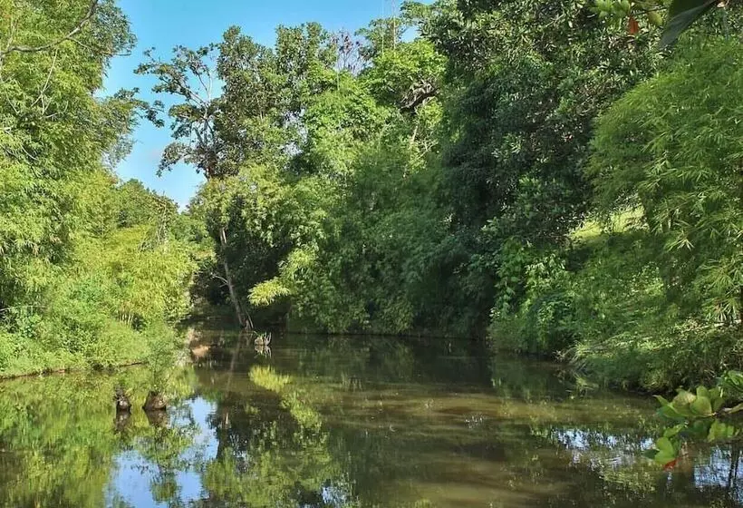 Hotelli Boutique Villas Del Lago