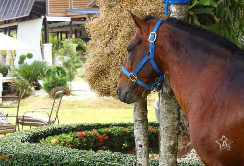 هتل Boutique Villas Del Lago