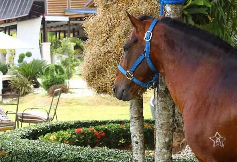 Hotelli Boutique Villas Del Lago