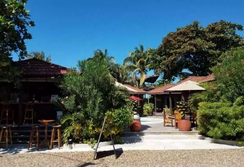 Marbucks Bed And Breakfast