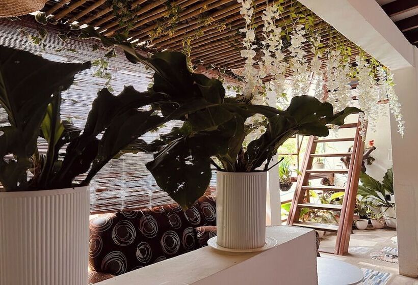 بنسيون Brenmariel Tourist Inn El Nido Palawan