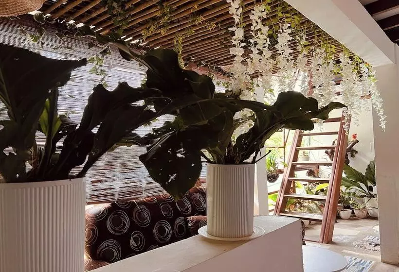 پانسیون Brenmariel Tourist Inn El Nido Palawan