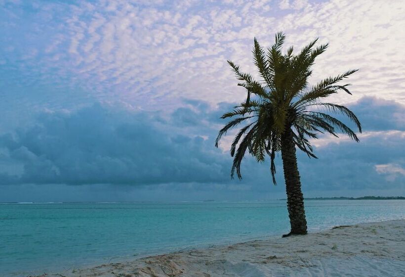 پانسیون Empyrean Stay