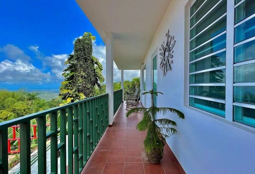 پانسیون Pancho S Paradise