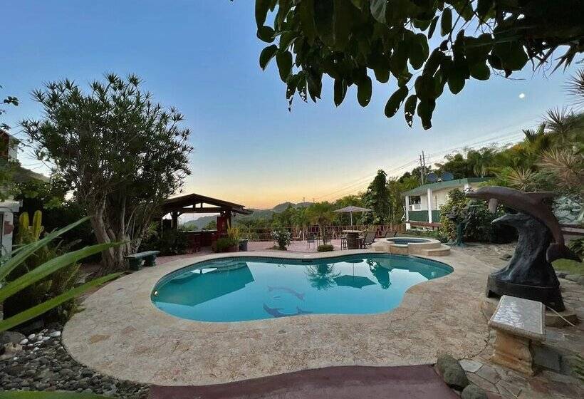 پانسیون Pancho S Paradise