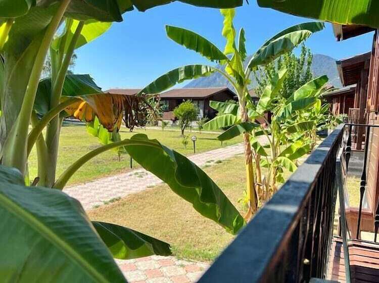 Alicra Hotel çıralı