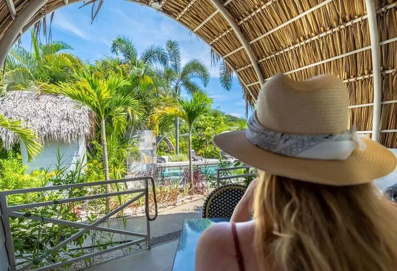 Aamiaismajoitus (B&B) Les Voiles Blanches Tamarindo