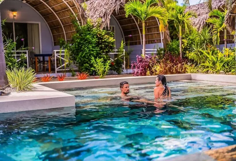 Aamiaismajoitus (B&B) Les Voiles Blanches Tamarindo