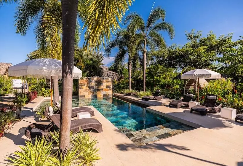 Aamiaismajoitus (B&B) Les Voiles Blanches Tamarindo