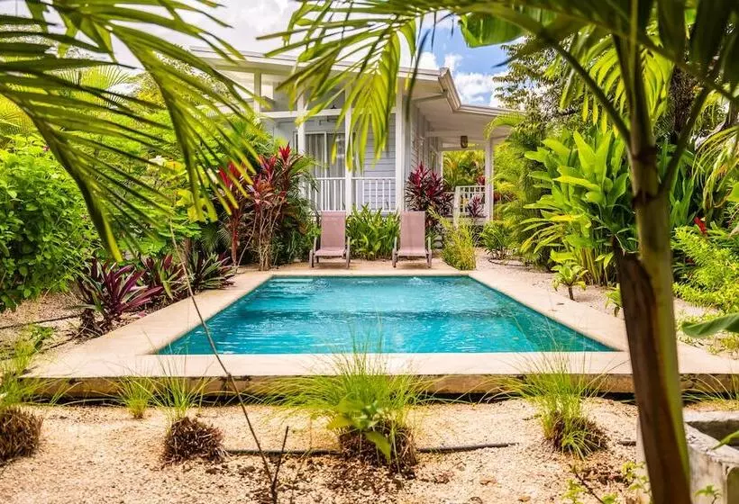 Aamiaismajoitus (B&B) Les Voiles Blanches Tamarindo