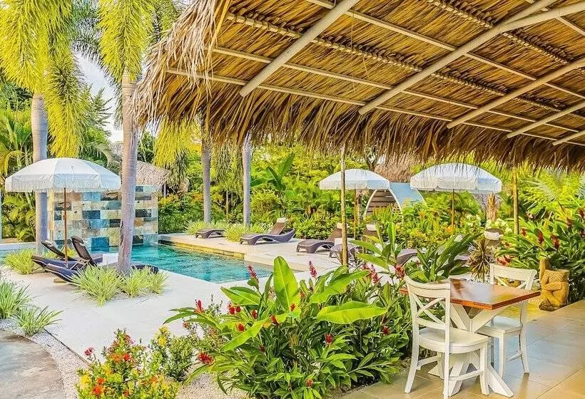 Aamiaismajoitus (B&B) Les Voiles Blanches Tamarindo