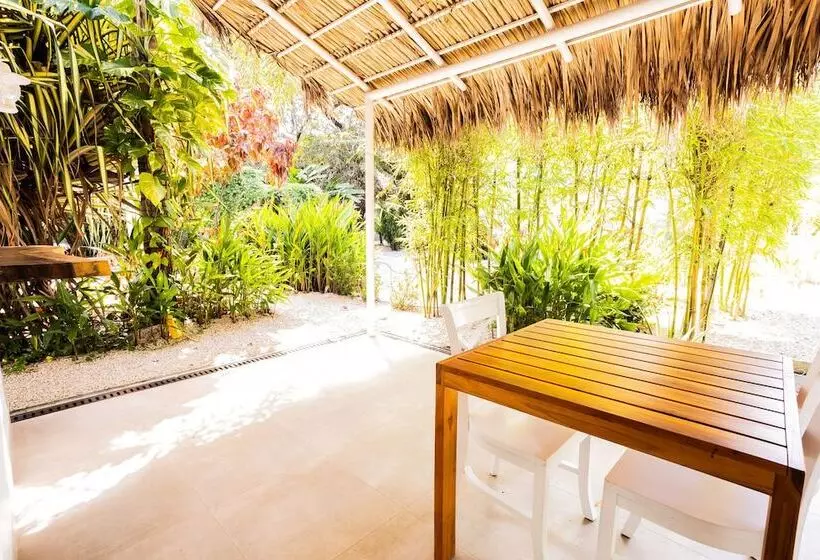 Aamiaismajoitus (B&B) Les Voiles Blanches Tamarindo