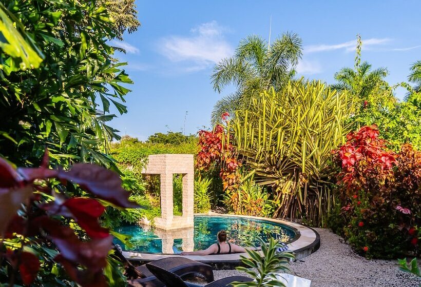 민박 Les Voiles Blanches Tamarindo