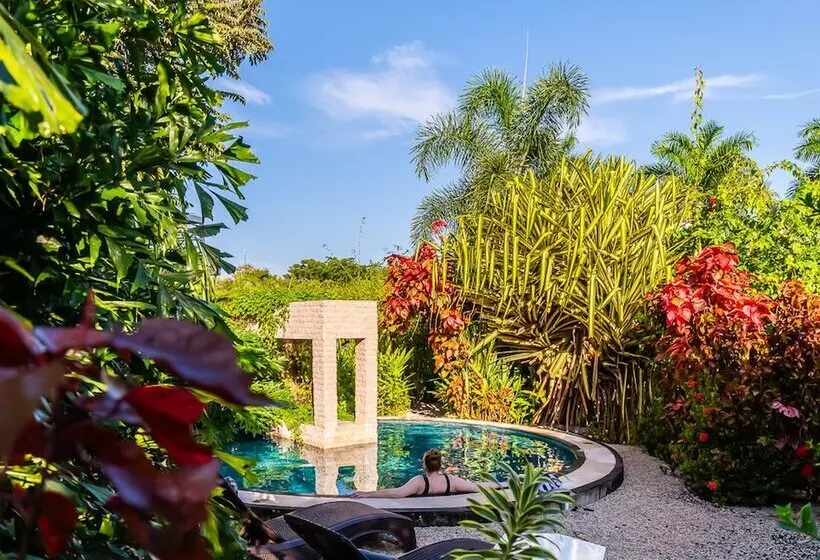 Aamiaismajoitus (B&B) Les Voiles Blanches Tamarindo