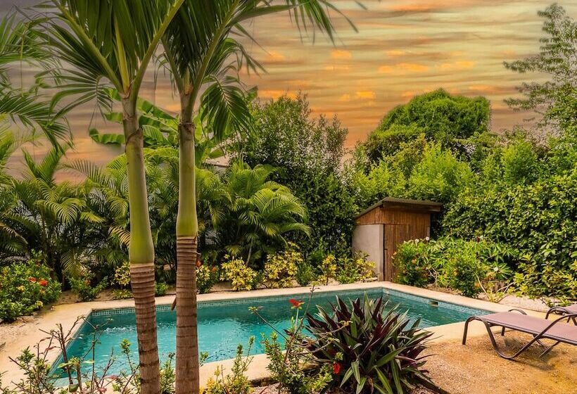 민박 Les Voiles Blanches Tamarindo