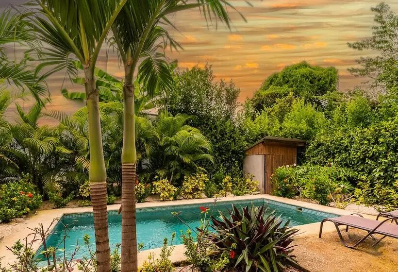 Aamiaismajoitus (B&B) Les Voiles Blanches Tamarindo