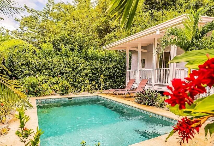 민박 Les Voiles Blanches Tamarindo