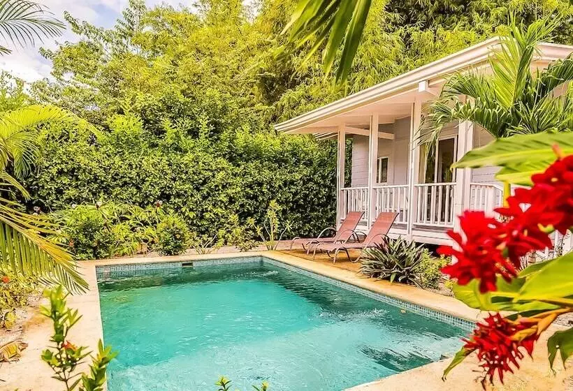 Aamiaismajoitus (B&B) Les Voiles Blanches Tamarindo