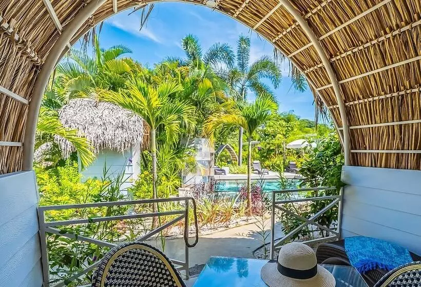 Aamiaismajoitus (B&B) Les Voiles Blanches Tamarindo