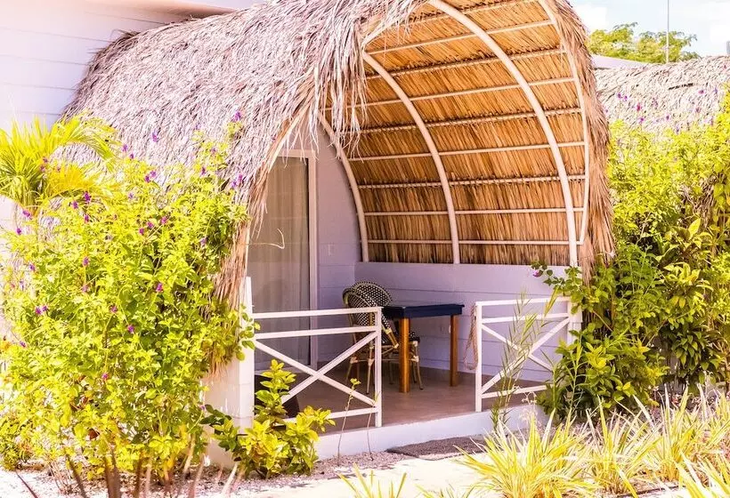 Aamiaismajoitus (B&B) Les Voiles Blanches Tamarindo