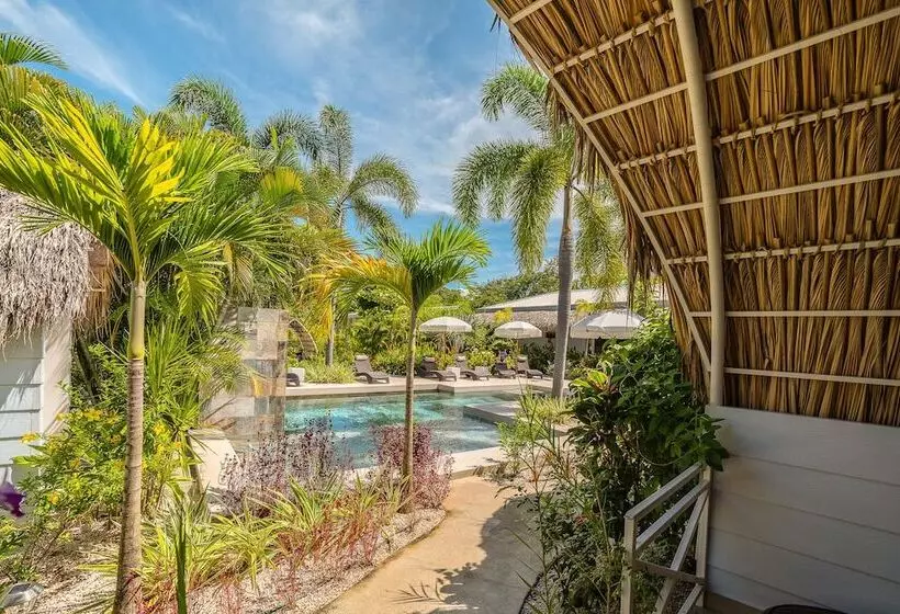 Aamiaismajoitus (B&B) Les Voiles Blanches Tamarindo