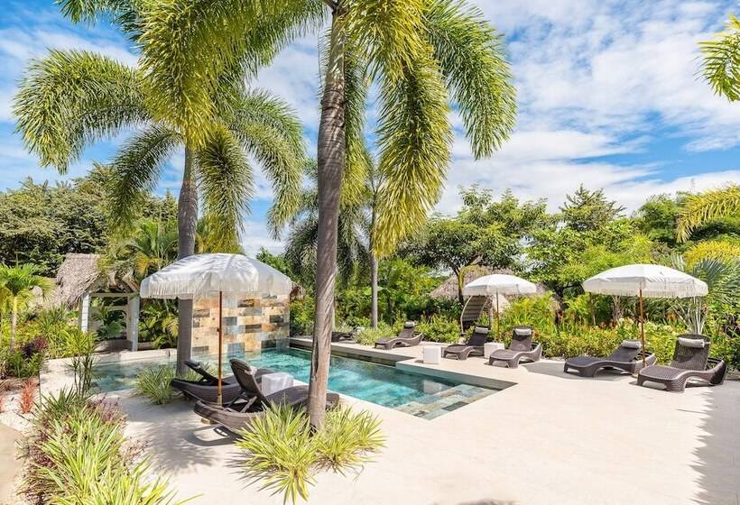 민박 Les Voiles Blanches Tamarindo