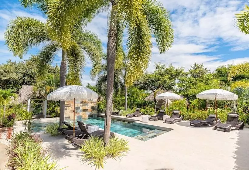 Aamiaismajoitus (B&B) Les Voiles Blanches Tamarindo