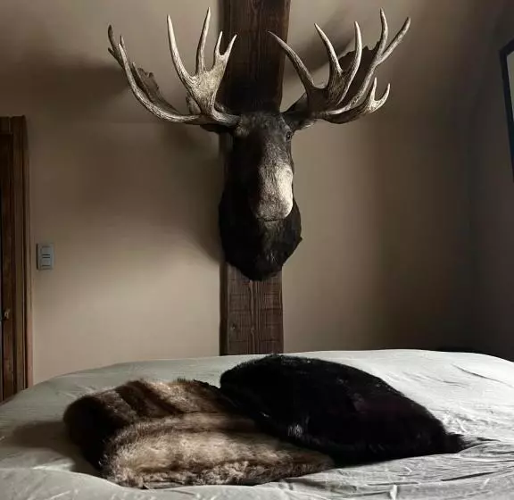 ベッドアンドブレックファースト Maison Galerie Art N Pepper