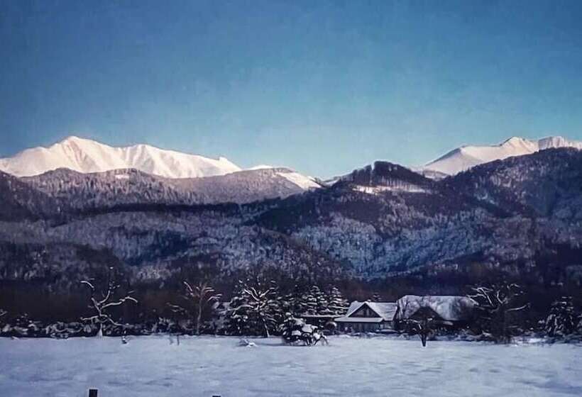 Bed and Breakfast Ohana Boutique