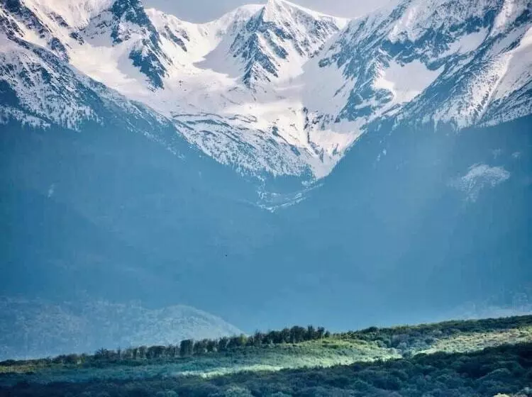 Aamiaismajoitus (B&B) Ohana Boutique