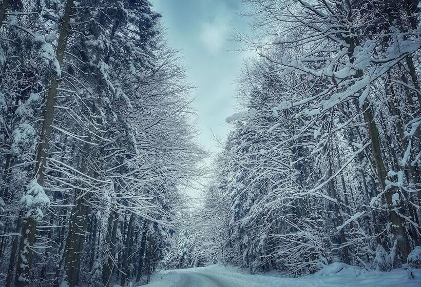 Bed and Breakfast Ohana Boutique