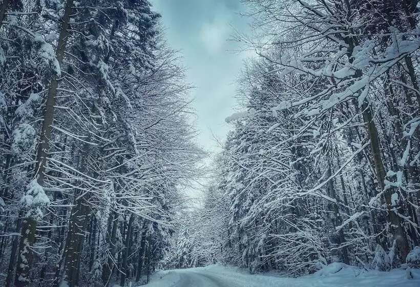 Aamiaismajoitus (B&B) Ohana Boutique