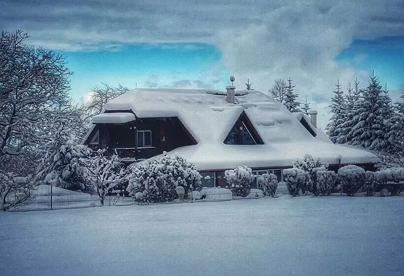 Aamiaismajoitus (B&B) Ohana Boutique