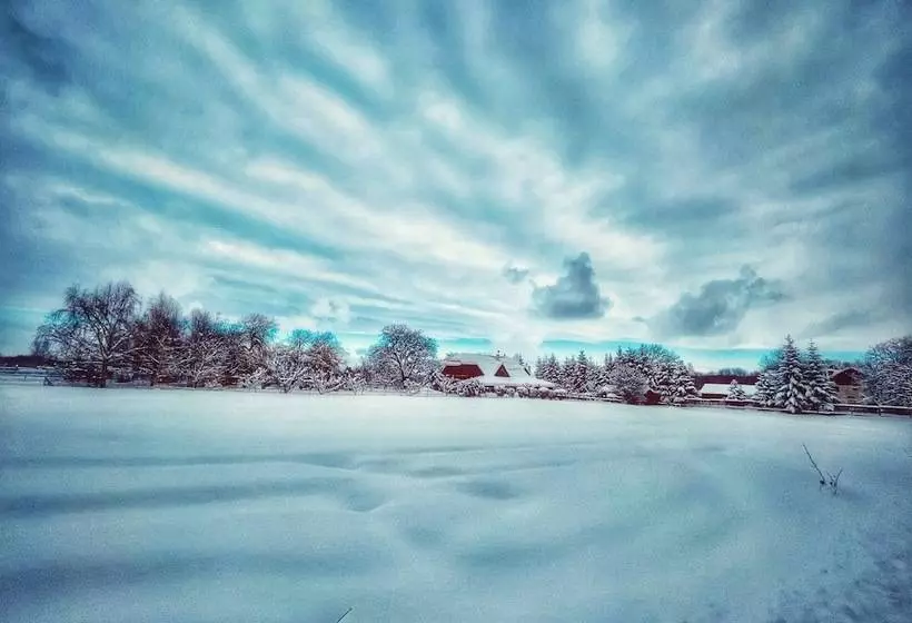 Aamiaismajoitus (B&B) Ohana Boutique