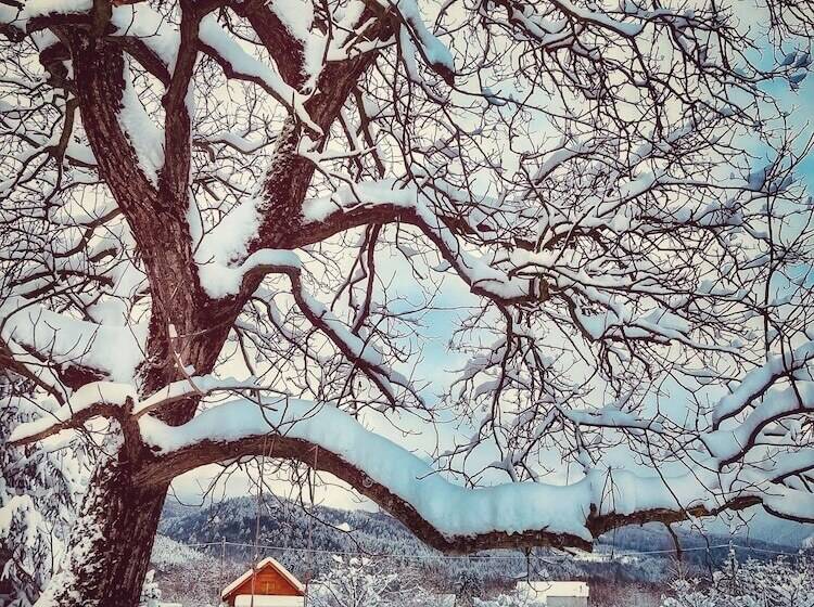 Bed and Breakfast Ohana Boutique