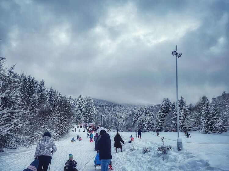 Bed and Breakfast Ohana Boutique