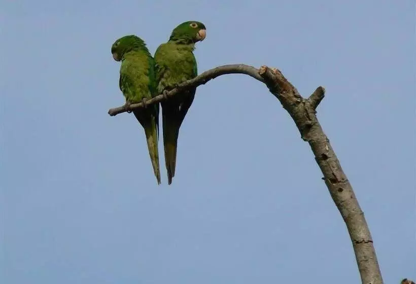 簡易ホテル Hirondelle Paraíso