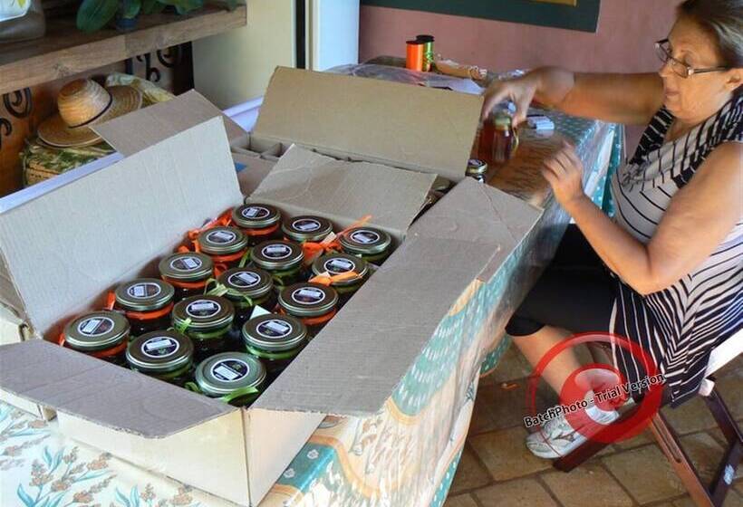 Herberg Hirondelle Paraíso