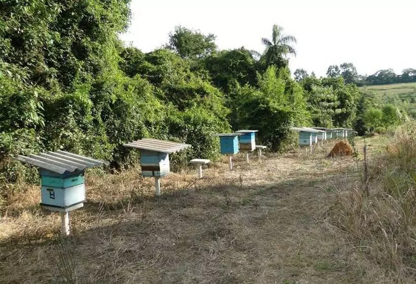 簡易ホテル Hirondelle Paraíso