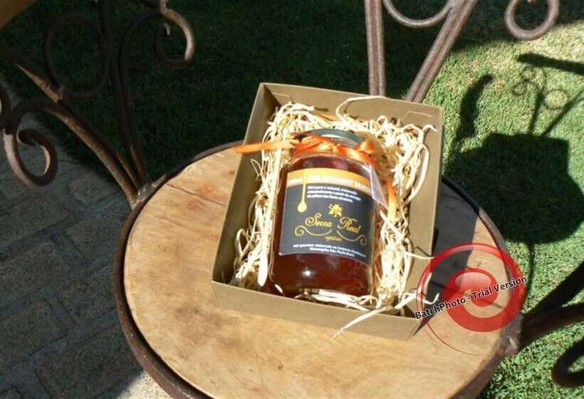 Herberg Hirondelle Paraíso