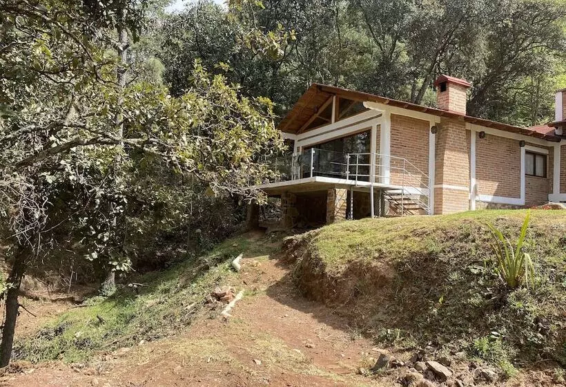 ホテル Cabañas Los Pirineos