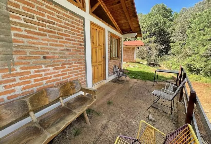 ホテル Cabañas Los Pirineos