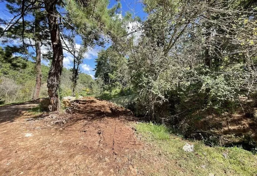 ホテル Cabañas Los Pirineos