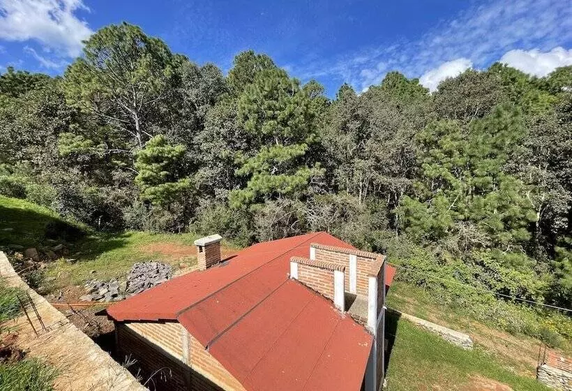 ホテル Cabañas Los Pirineos