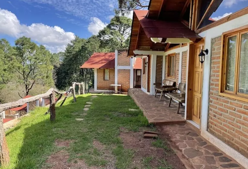 ホテル Cabañas Los Pirineos