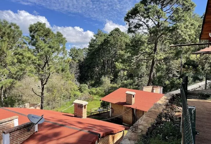 ホテル Cabañas Los Pirineos