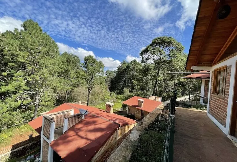 ホテル Cabañas Los Pirineos