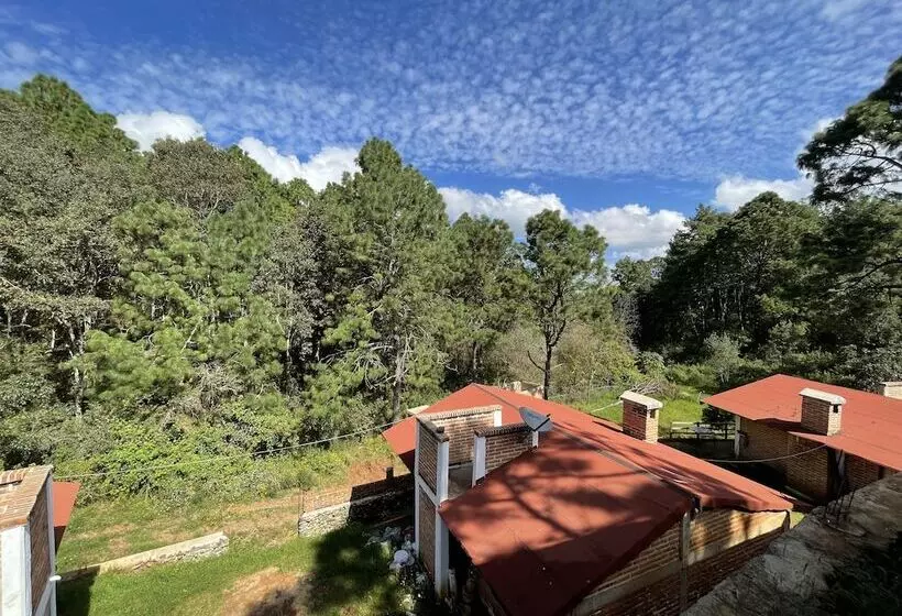 ホテル Cabañas Los Pirineos